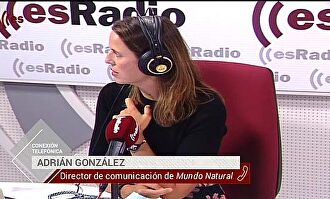 Mundo Natural: La importancia de la vitamina D