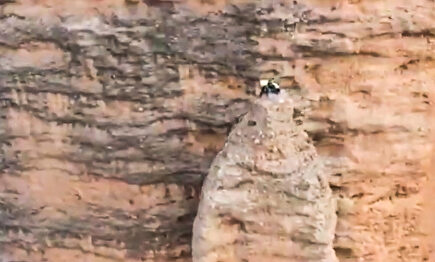 Aparatoso rescate aéreo de una escaladora herida atrapada en una pared vertical en Huesca