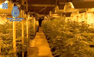 Desmantelan la mayor plantación subterránea de marihuana hallada en España