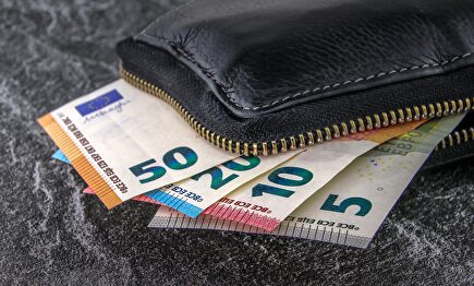 dinero, billete de banco, euro | Pixabay/CC/analogicus