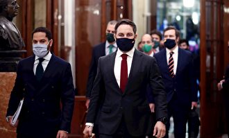 Santiago Abascal, en el Congreso. | EFE