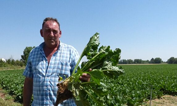 El agricultor Juan Manuel Mediavilla, en su explotación de Palencia | LD