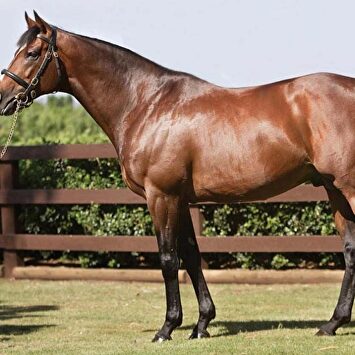 El semen de Galileo vale su peso en oro | Instagram