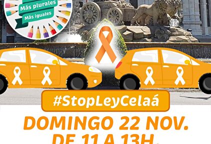  | Manifestación contra la ley Celaá