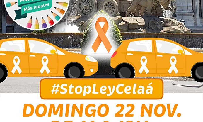  | Manifestación contra la ley Celaá