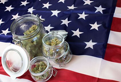El cannabis ya está despenalizado en casi todo EEUU. | Alamy