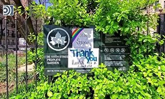 Las escuelas públicas de Nueva York cierran por el aumento de casos de COVID-19