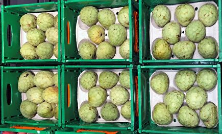 Chirimoyas en la sección de Fruta y Verdura de Mercadona. | Mercadona