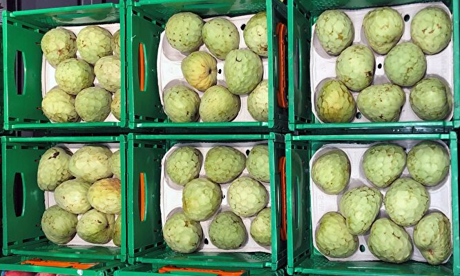 Chirimoyas en la sección de Fruta y Verdura de Mercadona. | Mercadona