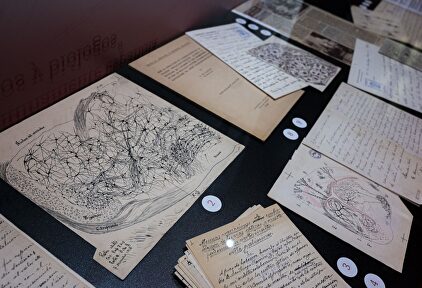 Los dibujos que marcaron la vida de Ramón y Cajal