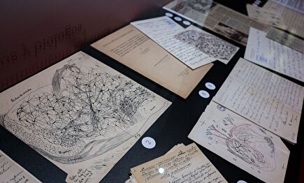 Los dibujos que marcaron la vida de Ramón y Cajal