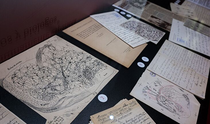Los dibujos que marcaron la vida de Ramón y Cajal