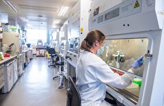 Sanidad asegura que habrá vacunas para inmunizar a 80 millones de españoles