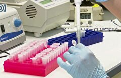 La vacuna de Oxford y AstraZeneca tiene una efectividad del 70,4%