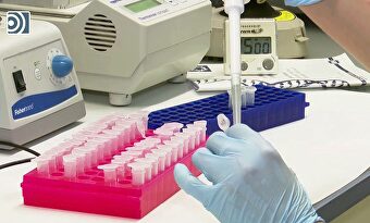 La vacuna de Oxford y AstraZeneca tiene una efectividad del 70,4%