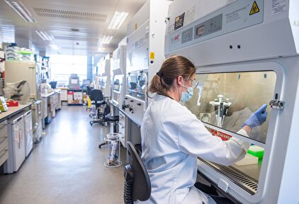 Sanidad asegura que habrá vacunas para inmunizar a 80 millones de españoles