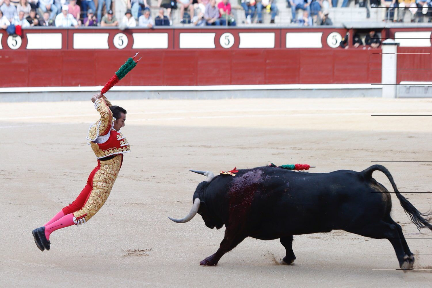 El Fandi' advierte del error de haber descuidado al espectador de las  corridas de toros - Libertad Digital - Cultura