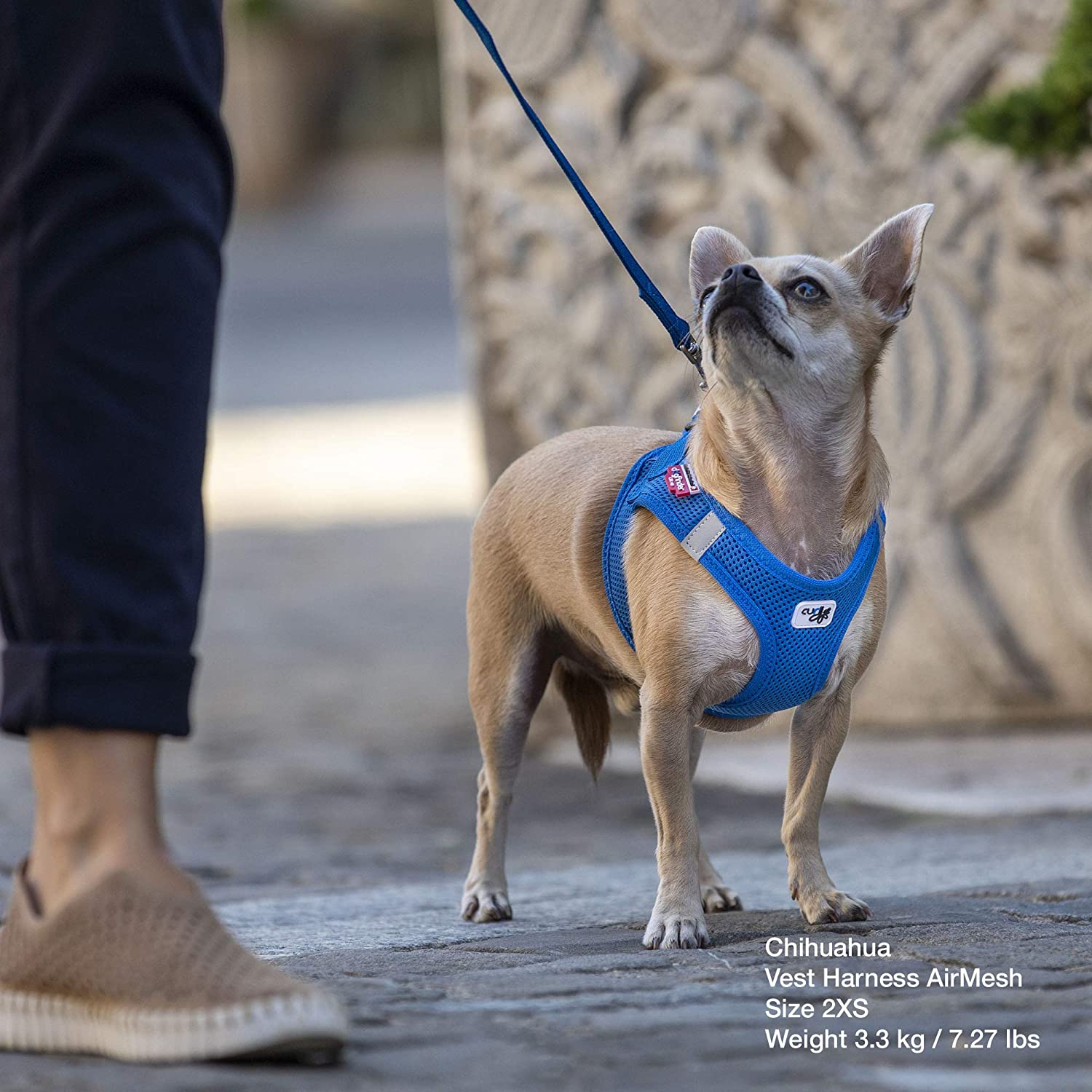 SlowTon - Arnés y correa para perros pequeños, resistente, chaleco de paseo  fácil, arnés suave acolchado reflejante, ajustable para cachorro