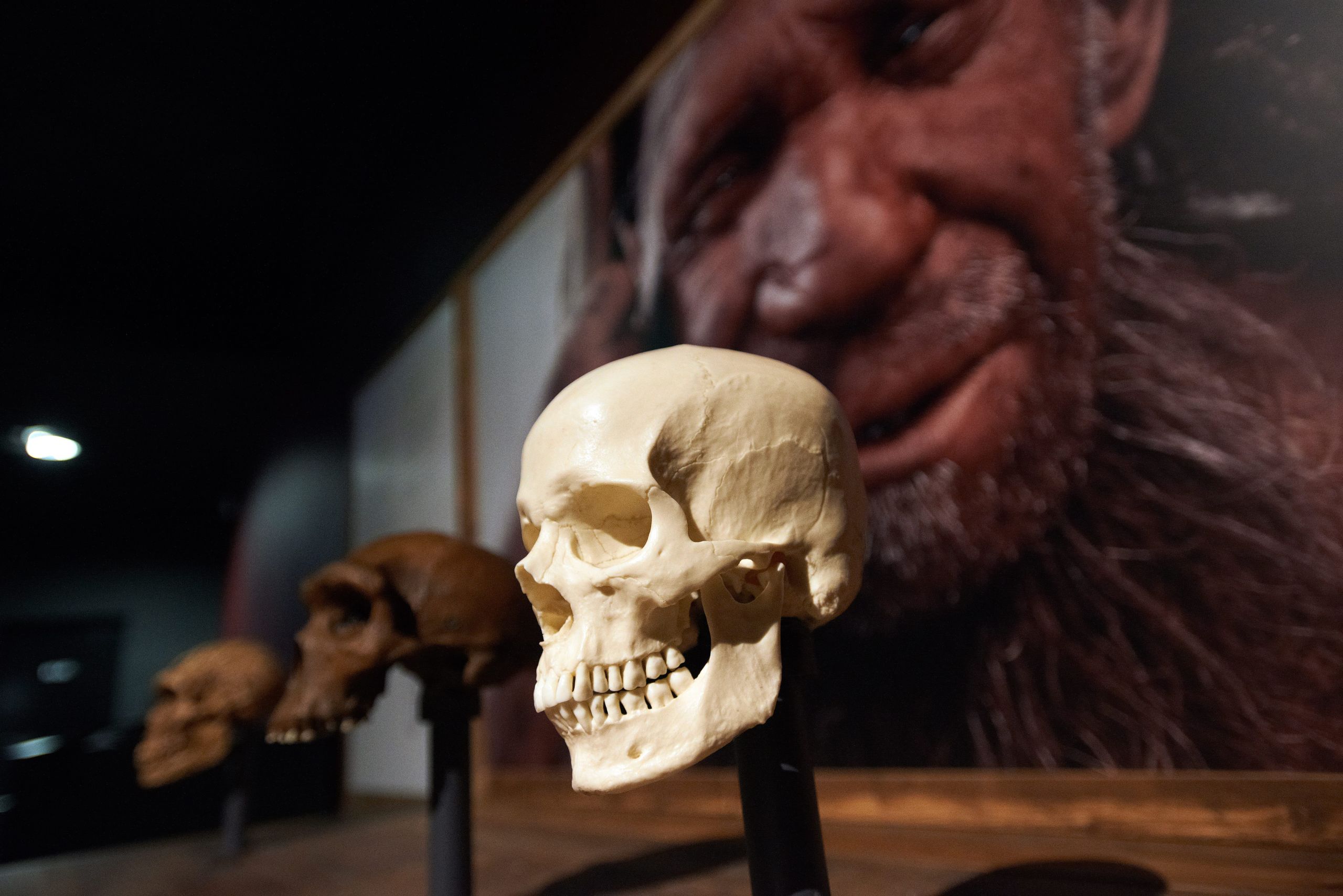 Los sapiens se quedaron milenios en la meseta persa antes de expandirse por Europa y Asia