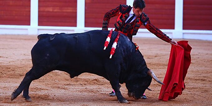 Las 4 razones por las que prohibir los toros en Gijón es un liberticidio ilegal y empobrecedor - Vimarsana News