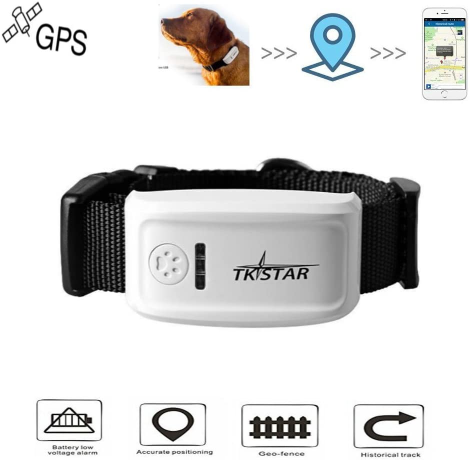 Collar Localizacion Rastreador GPS Perro Weenect V2 Con