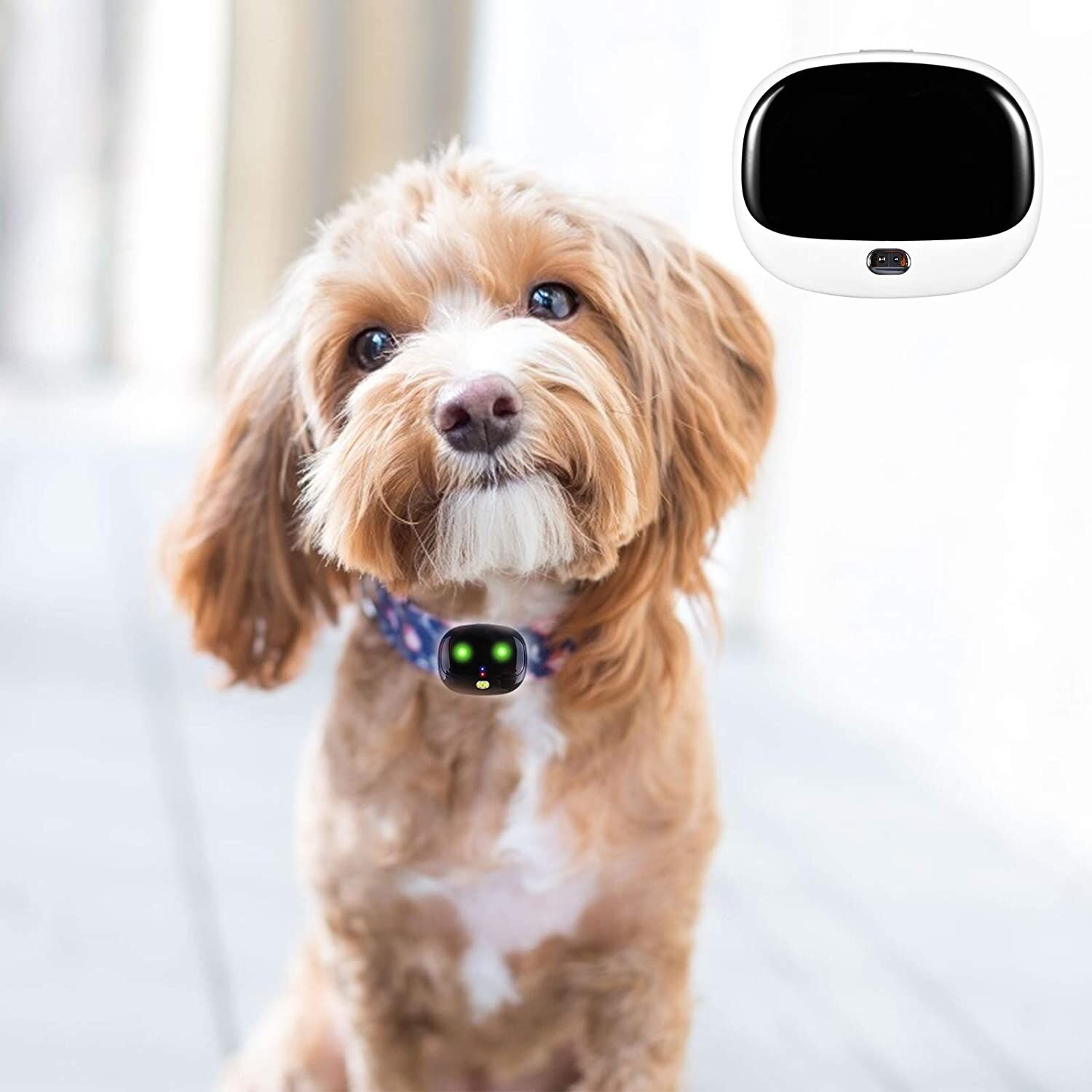 Rastreador GPS para perros (paquete de 2), collar inteligente de  seguimiento de mascotas resistente al agua (solo iOS), sin tarifa mensual,  collar