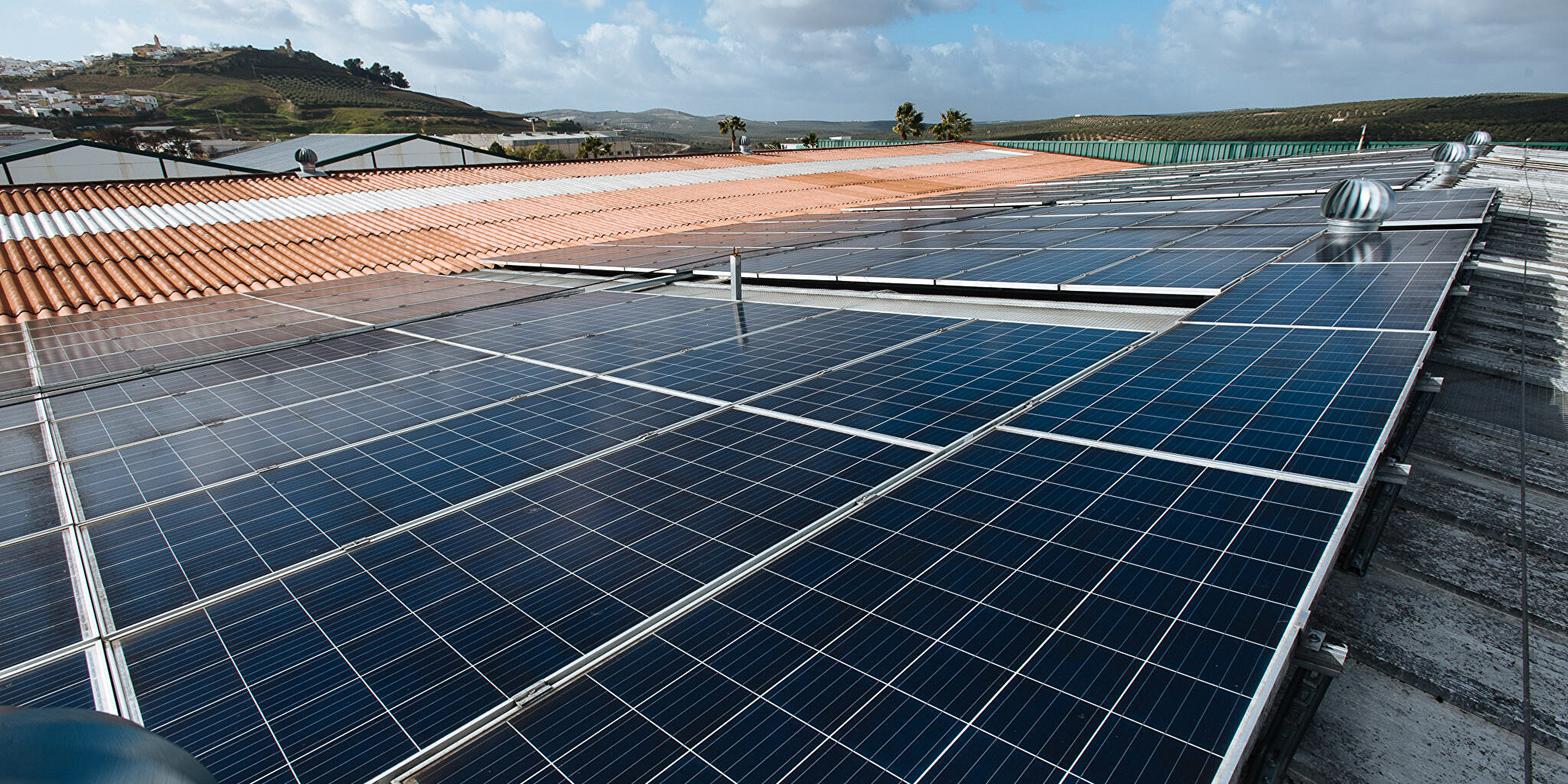 Fiasco del plan eléctrico del Gobierno 'ecosostenible': las renovables también amenazan con cerrar - Vimarsana News