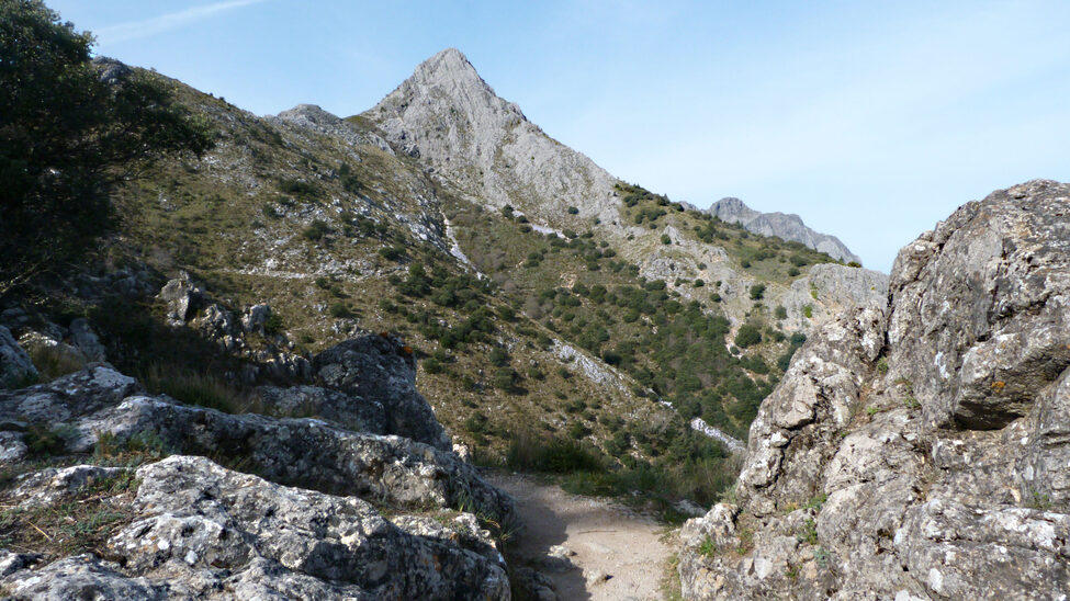 pico-san-cristobal-sierra-del-pinar-parque-natural-de-grazalema--peak-saint-christopher.jpg