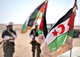 bandera-saharaui-frente-polisario.jpg