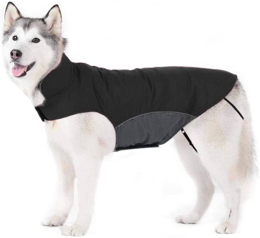 Desanimarse ala Útil Los 8 mejores abrigos impermeables para perros