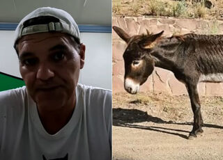 frank-burros.jpg