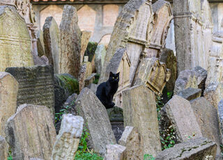 cementerio-judio-praga01.jpg