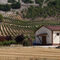 Los datosRibera del Duero: Bodegas históricas, hoteles de cinco estrellas y fabulosos viñedos en la N122, la carretera del vino