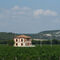 Ribera del Duero: Bodegas históricas, hoteles de cinco estrellas y fabulosos viñedos en la N122, la carretera del vino.