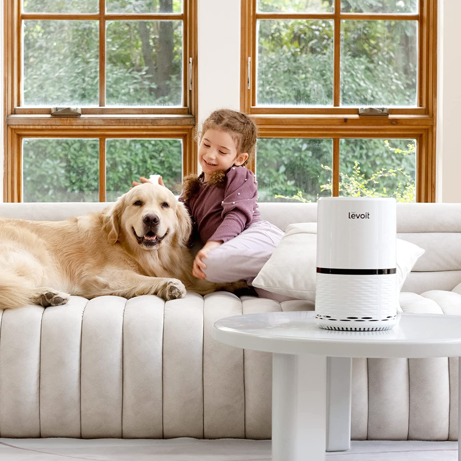 Purificador de aire de  Rowenta: ideal para asmáticos y casas con  mascotas