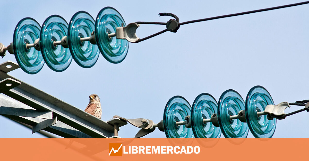 www.libremercado.com