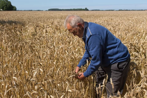 agricultor-alamy.jpg.webp