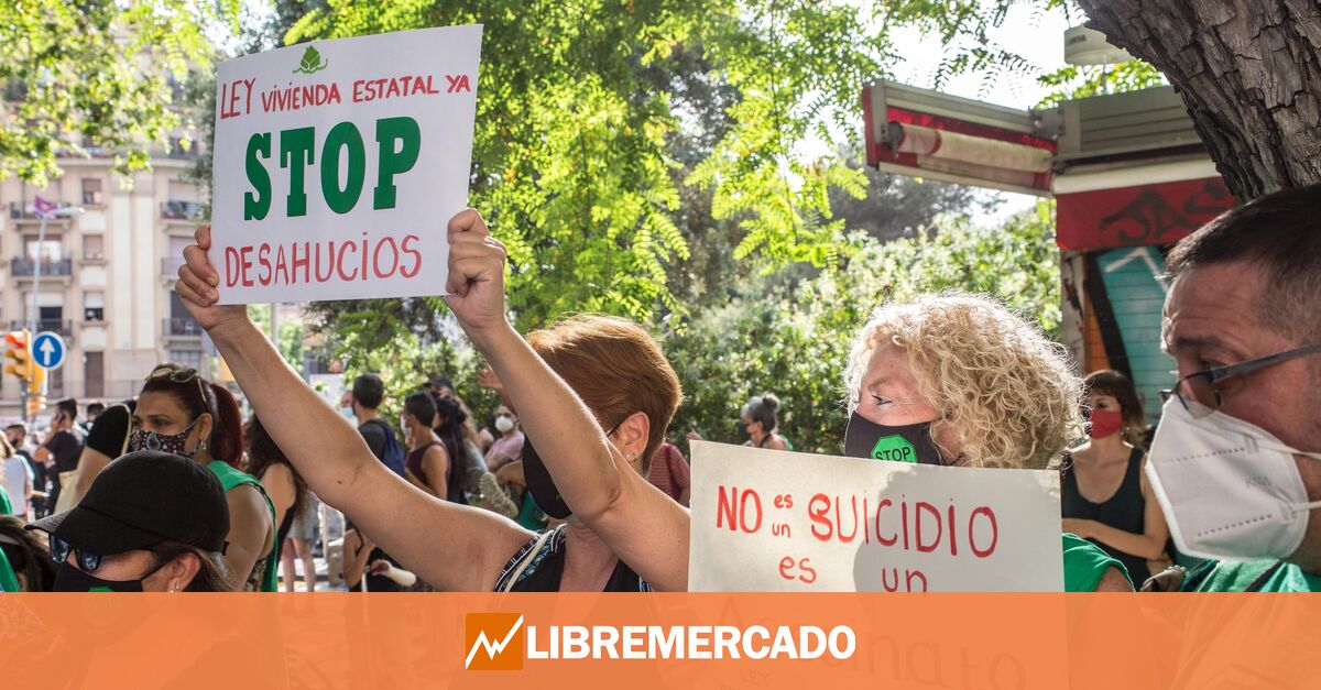 www.libremercado.com