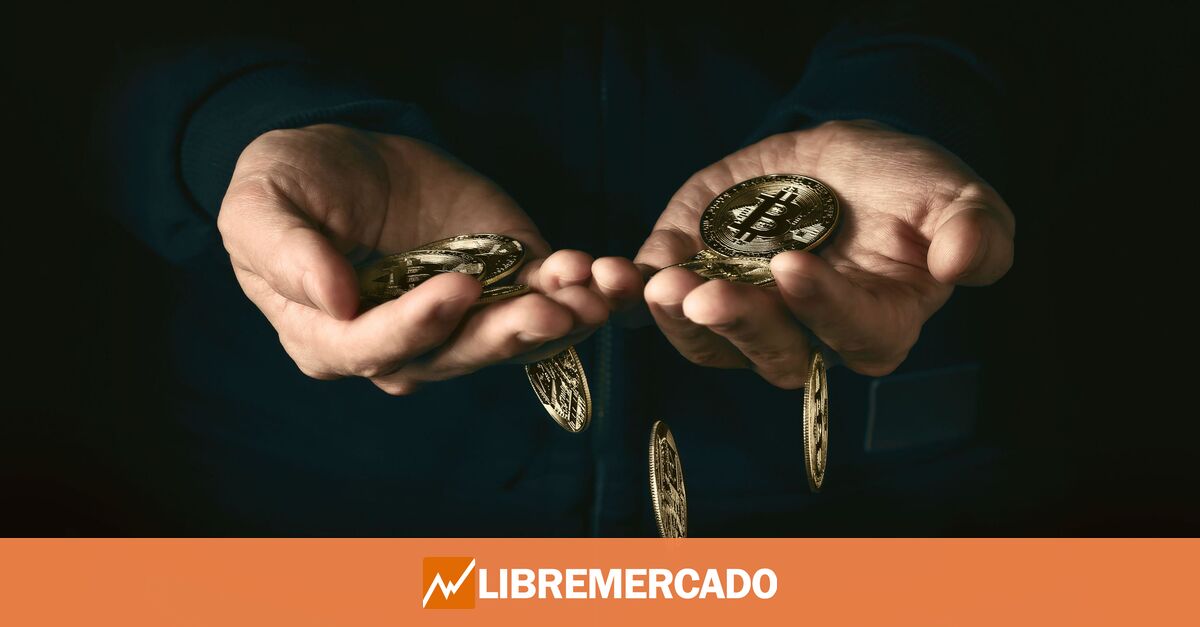 www.libremercado.com