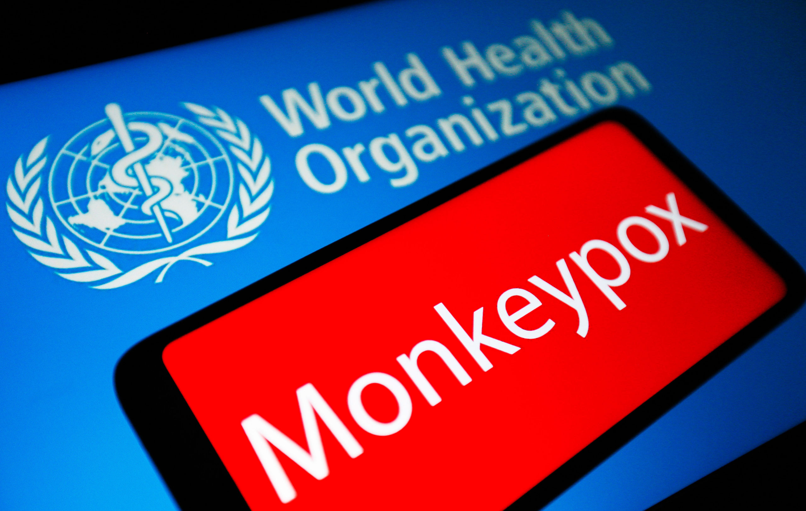 Miedo al virus del mono. ¿Tratamiento inicial? Buena información