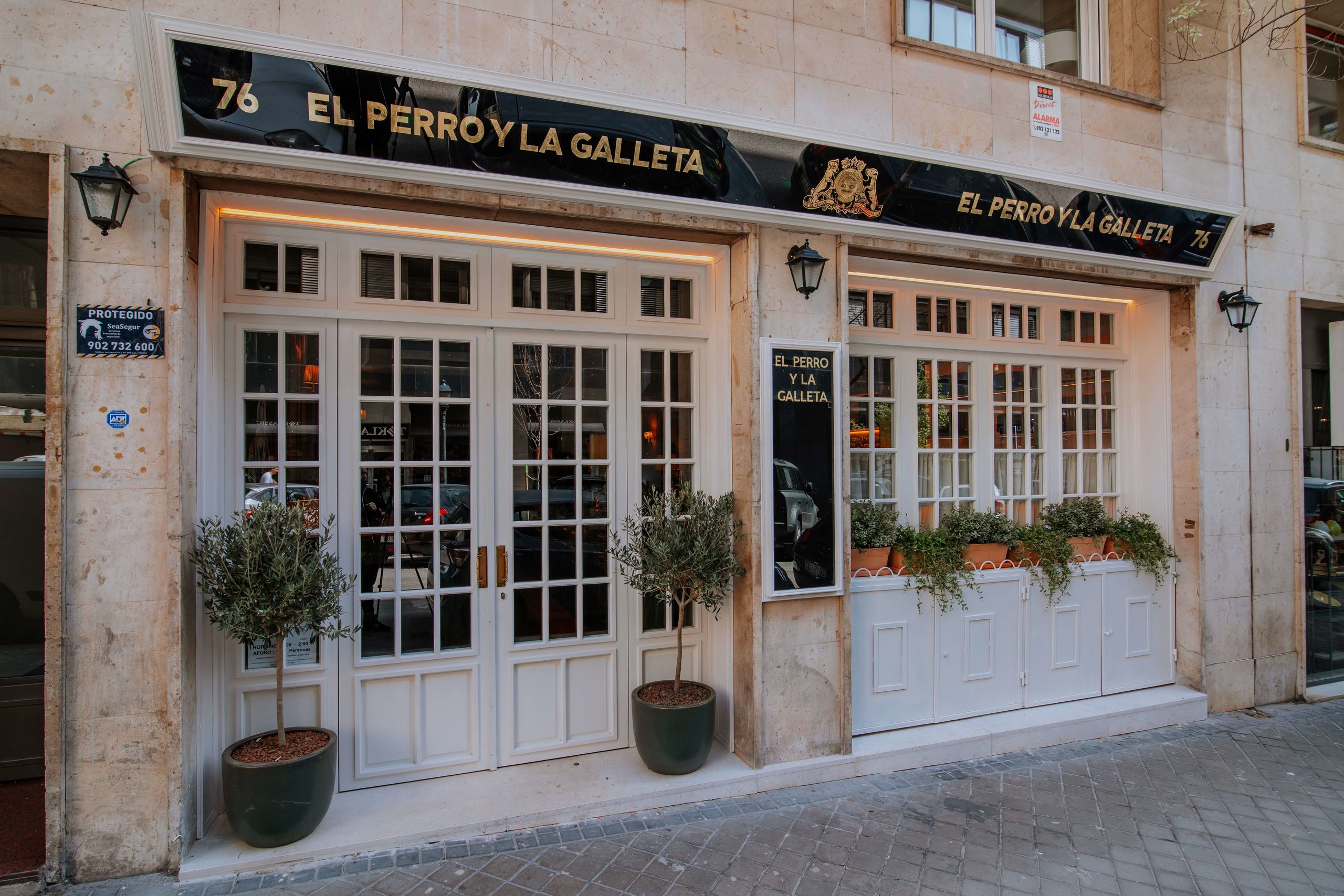 el-perro-y-la-galleta-buena-cocina-casera-en-un-ambiente-ntimo-y