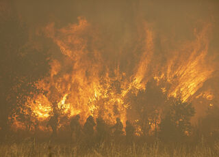 incendio-sierra-culebra-zamora-180622.jpg