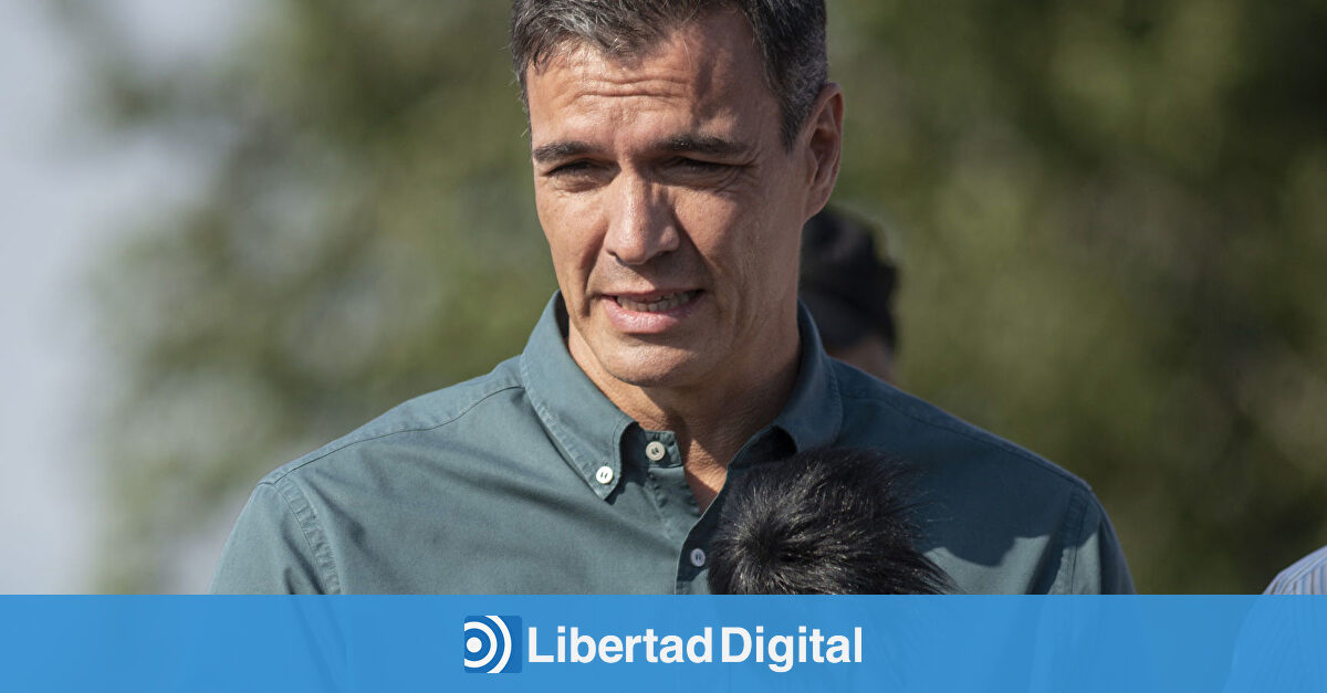 Pedro Sánchez quiere prohibir los incendios en agosto:  No descanso 