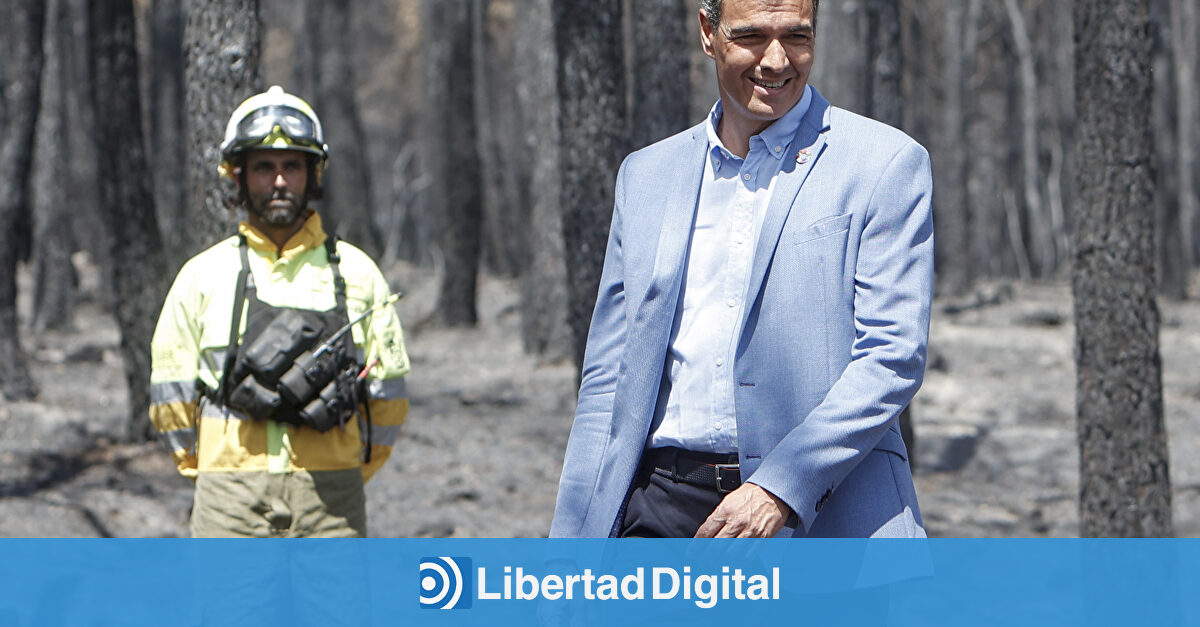 España invierte 500 millones menos que Grecia y Portugal en prevenir incendios pese a tener mucho más territorio