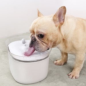 Dispensador de Agua Automático para Mascotas de Gatos/Perros – Mascotalux