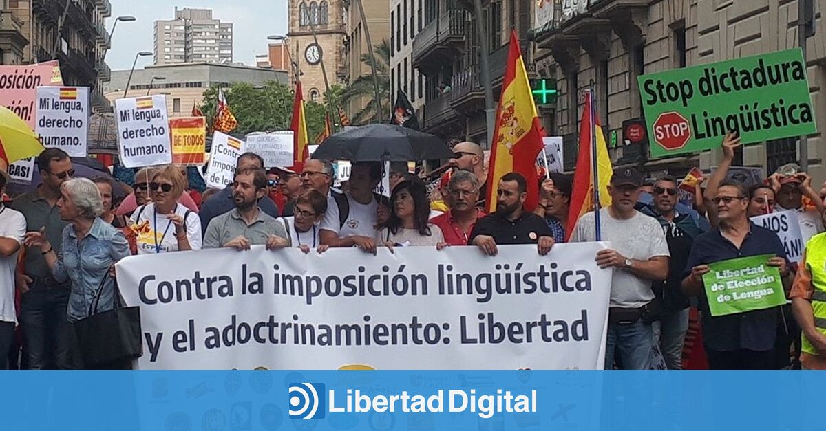 Llamamiento a la movilización por la libertad lingüística