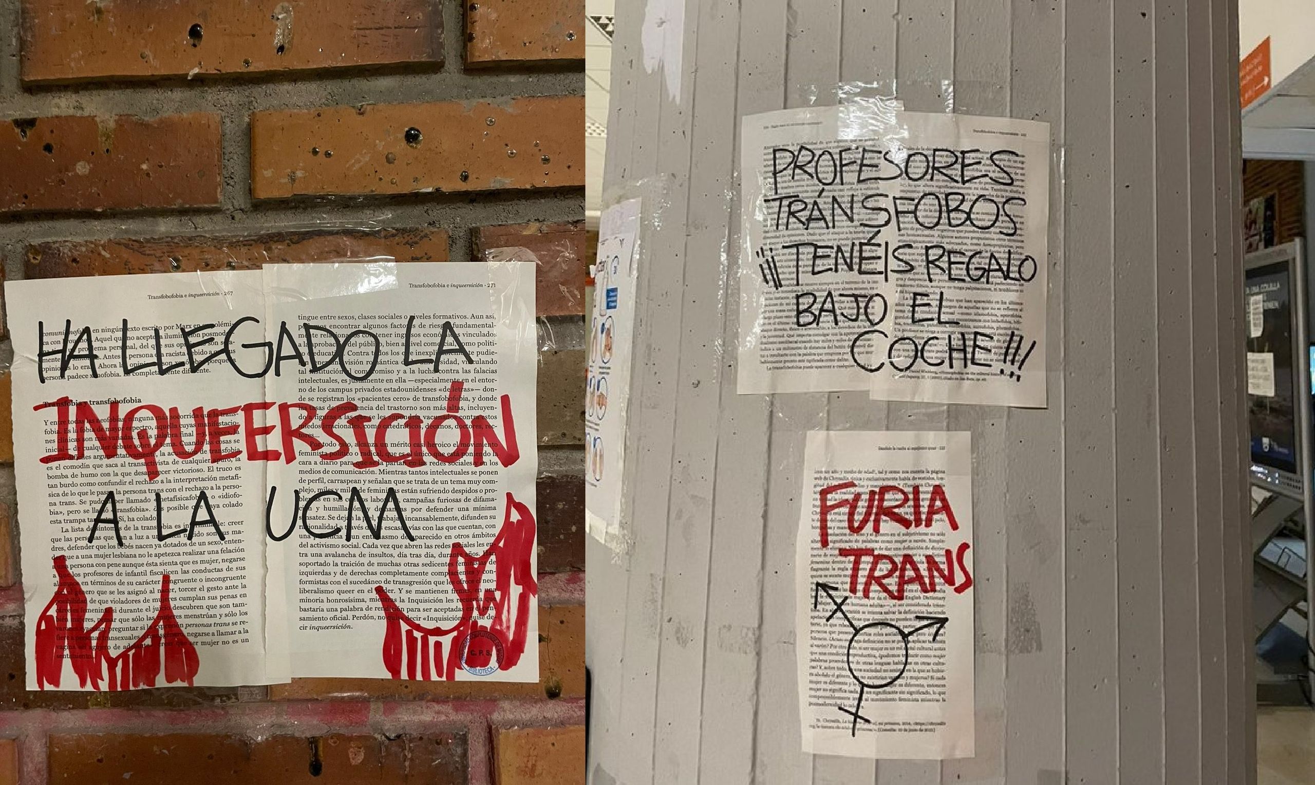 Transactivistas de la Complutense amenazan de muerte a profesores críticos  con el "delirio queer" - Libertad Digital