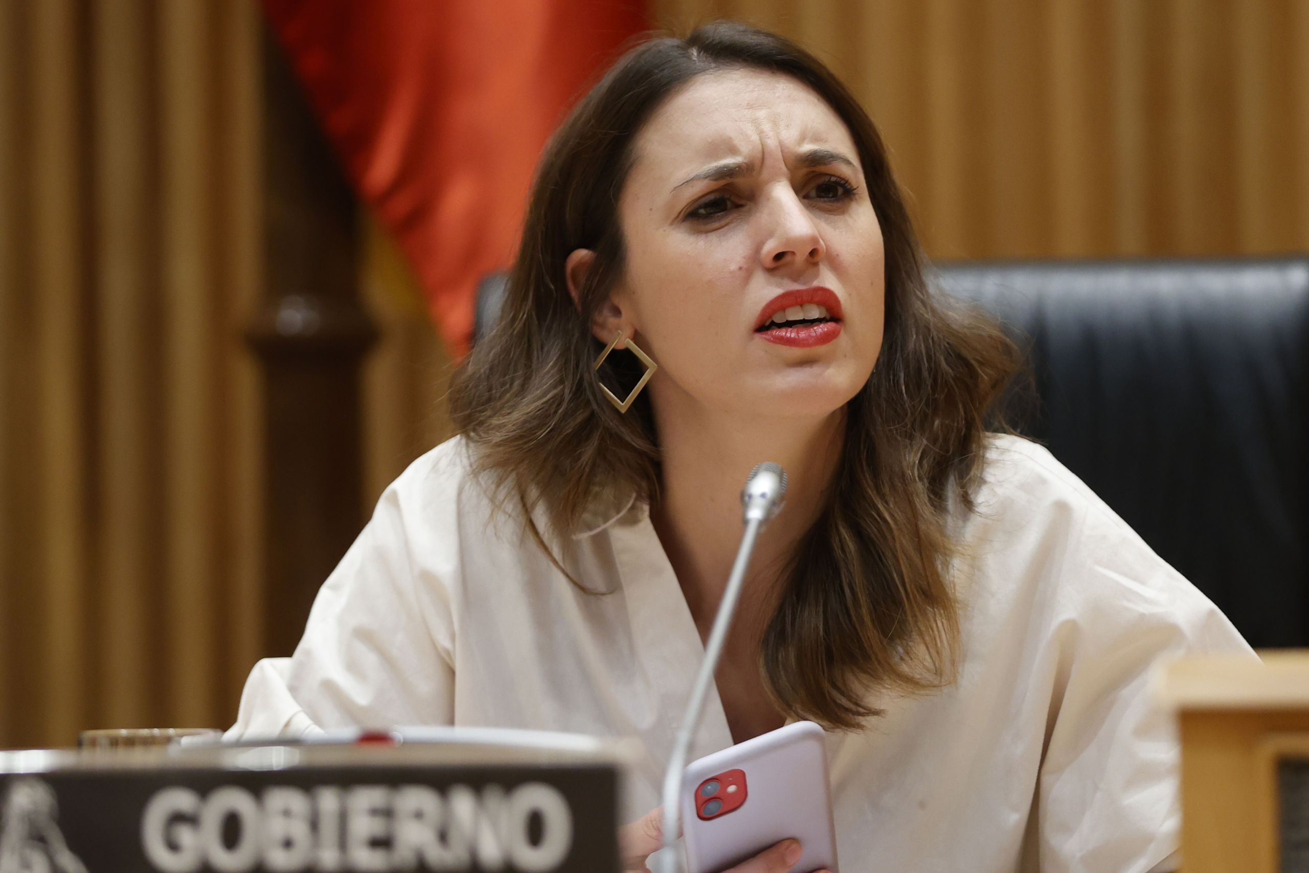 Por qué Irene Montero no lleva un Louis Vuitton (y debería)