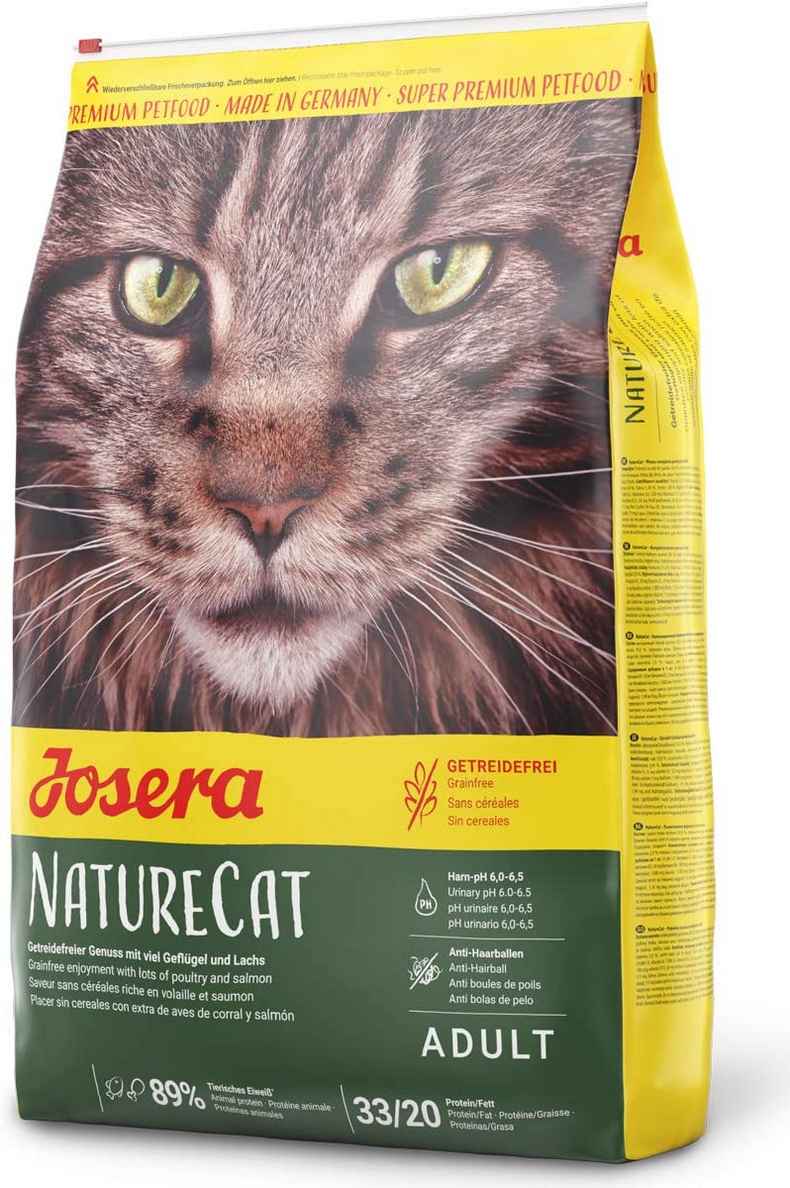 Perdido Selección conjunta Despertar Los 8 mejores alimentos secos para gatos para una buena nutrición