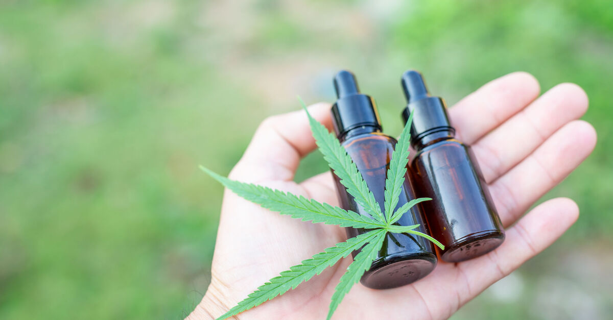 ¿qué Es El Aceite De Cbd Y Para Qué Sirve Libertad Digitalemk 2267